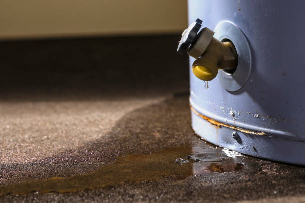 Best Ceiling water damage repair  in Newton, IL