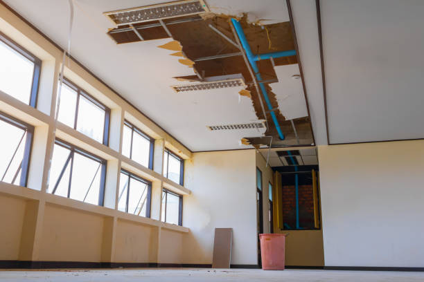 Best Water damage cleanup near me  in Newton, IL