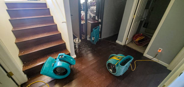 Best Water damage restoration near me  in Newton, IL