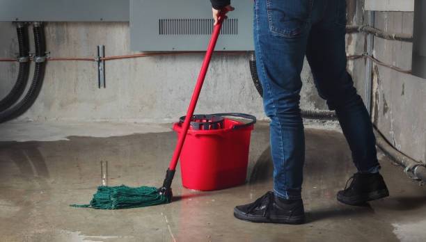 Water damage restoration experts in Newton, IL