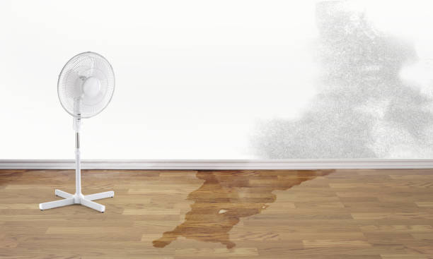 Best 24/7 water damage repair  in Newton, IL