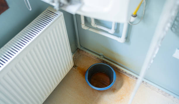 Best Water damage restoration insurance claims  in Newton, IL