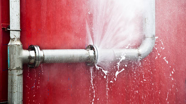 Best Emergency water extraction  in Newton, IL